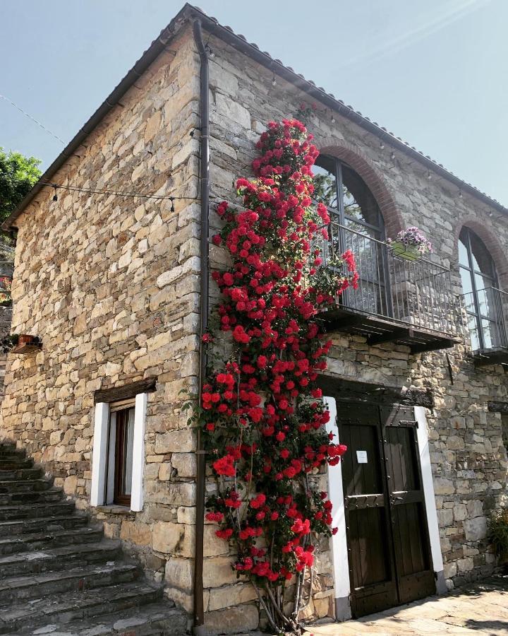 Cascina Bertolotto Wine Resort Spigno Monferrato Exterior photo